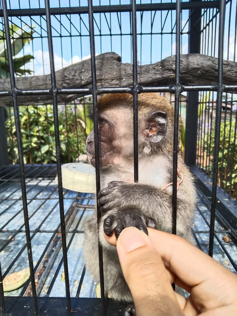 dimashendri29's tweet photo. Akhirnya ketemu Dimas. Haii derr, pake acara malu segala😝 https://t.co/FCz88VgGYp