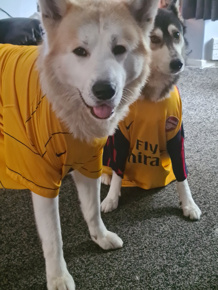 apriledmondo's tweet photo. @Arsenal @GoogleUK Ready and waiting 👏👏 https://t.co/MaKlZTxSw8