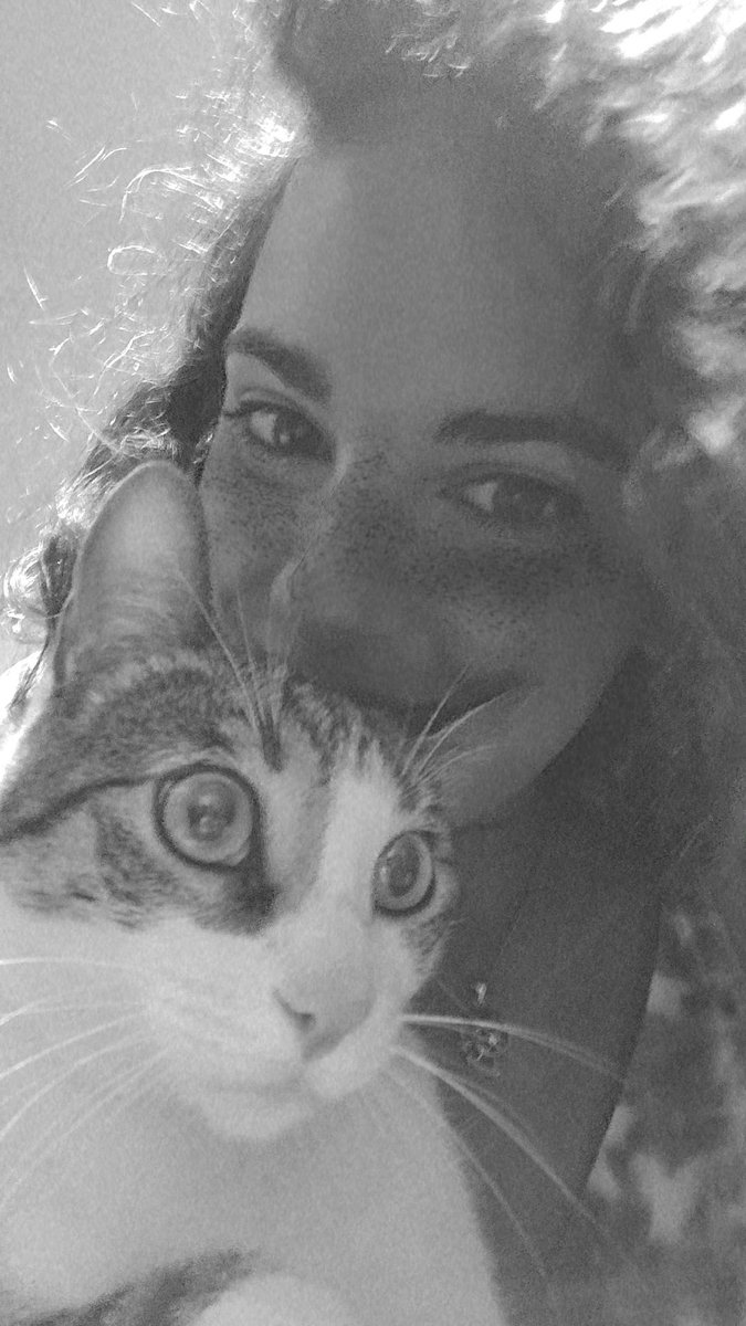 Mpayer5's tweet photo. Frase que repito unas trescientas millones de veces desde que esta bola de pelo llegó a mi vida: 

"¿Miau qué?" https://t.co/sYhmDpwbA6