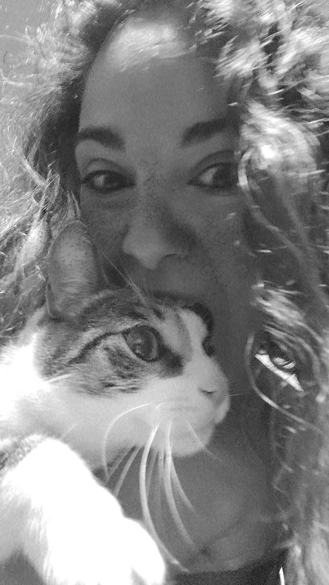 Mpayer5's tweet photo. Frase que repito unas trescientas millones de veces desde que esta bola de pelo llegó a mi vida: 

"¿Miau qué?" https://t.co/sYhmDpwbA6