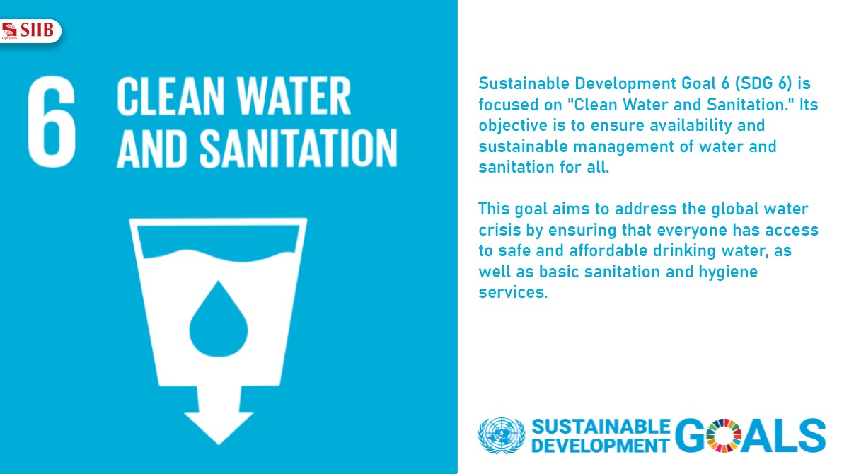 SIIBTweets's tweet image. #SustainableDevelopmentGoal6 tackles the global water crisis by securing universal access to clean water &amp;amp; sanitation.
Let's strive together for a healthier &amp;amp; more sustainable future.  

@symbiosistweets

#SIIB #MBA #Pune
#SDG6 #SustainableLiving #Goal6
#FridaysForFuture #mbalife