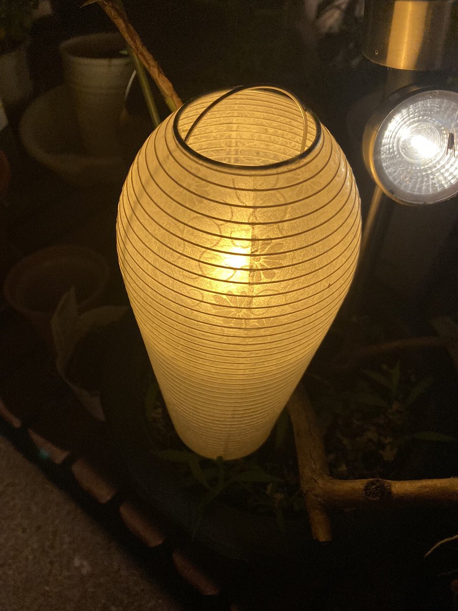 Minkaina's tweet photo. 樹木葬（墓地）まで
いっいー（父）を迎えに行きました！

「いっいーついて来てる？」
と聞くと

「来てる！」と言ってた

見てるのね。あなたには…

おかえりなさいませ！ https://t.co/vh3ra41JVr