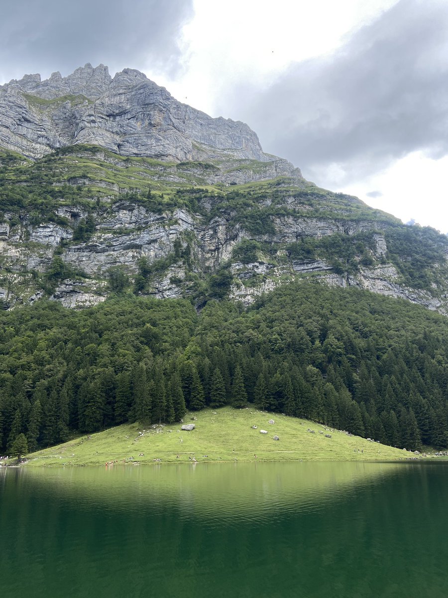 Mads Rønne Almassalkhi tweet media