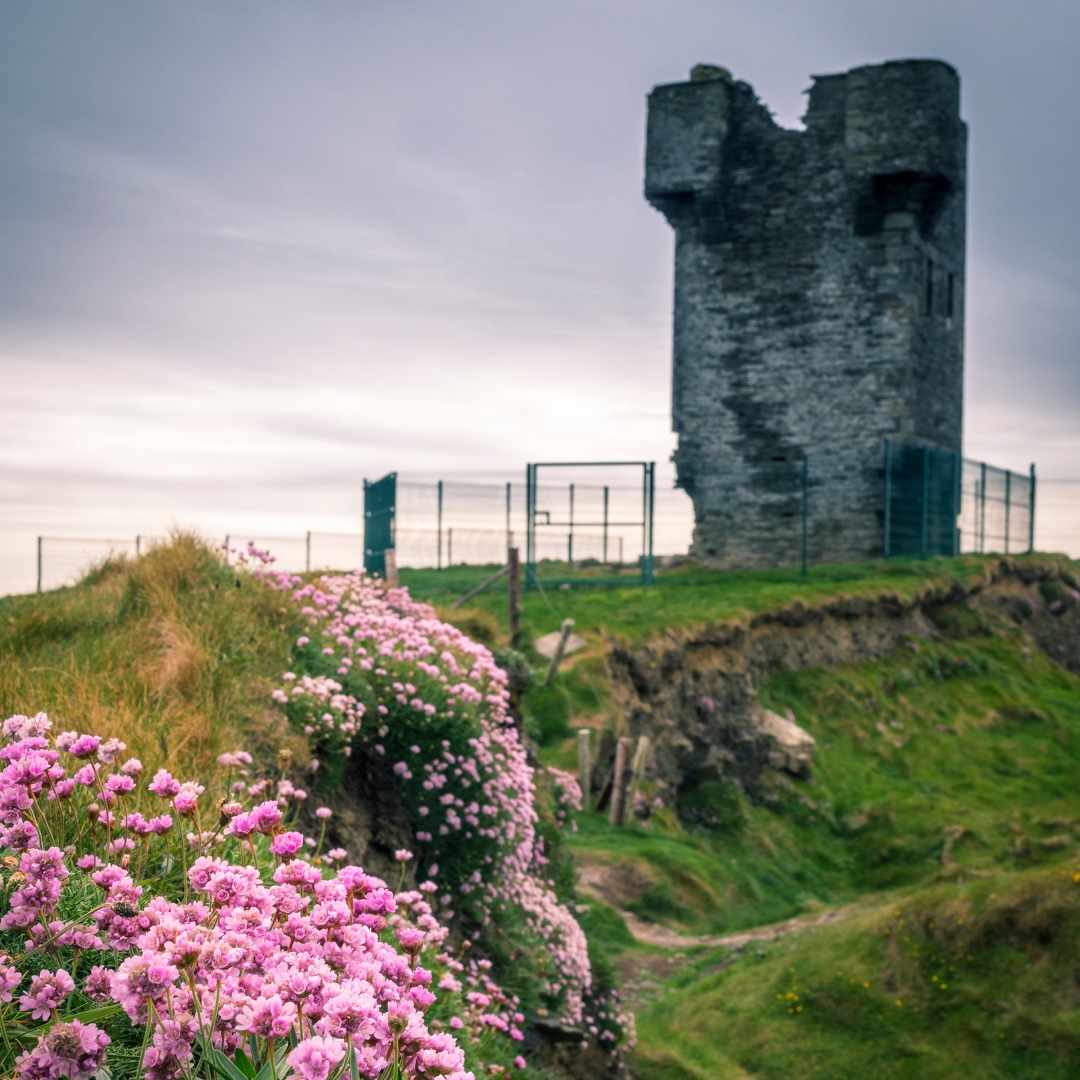 Standing tall and proud against the backdrop of the breathtaking Cliffs of Moher, O'Brien's Tower is a must-see for any trip to Ireland. 🌸🌸🌸

Click here to plan your adventure today 👉️ bit.ly/3iHYl44

Courtesy of Xeip 

#wildroverdaytours #obrienstower #ireland