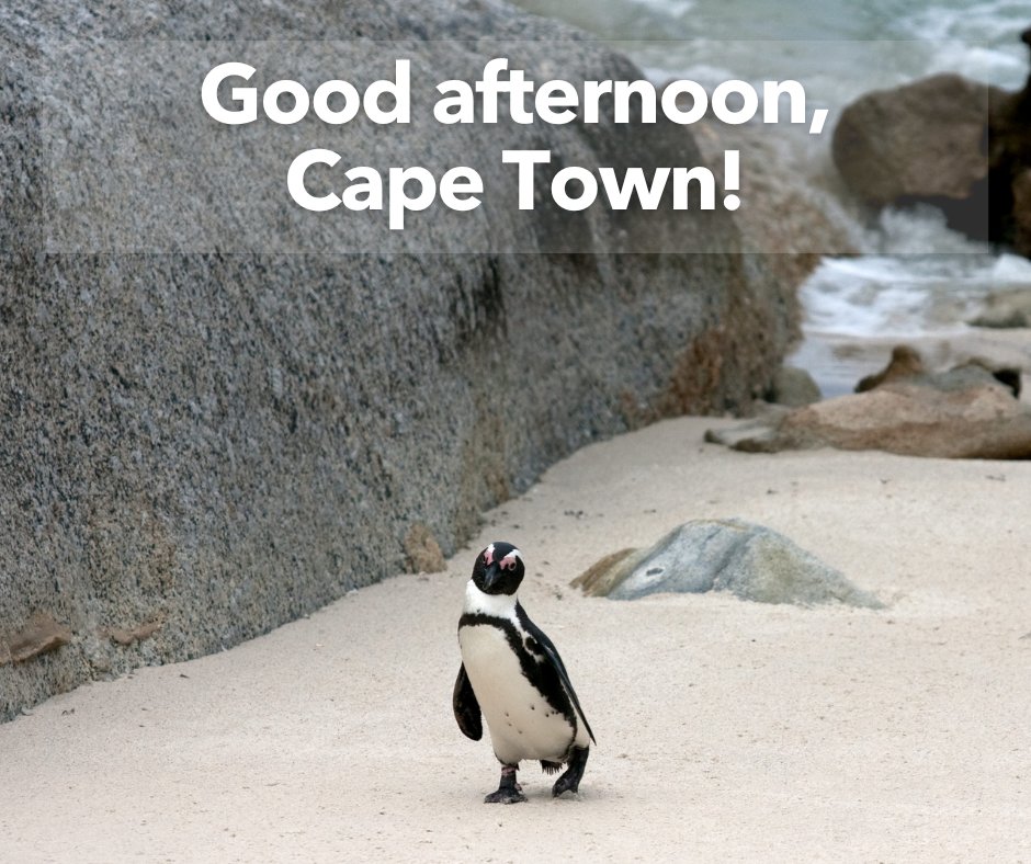 CityofCT's tweet photo. Good afternoon, Cape Town!
Our team will return at 10:00am tomorrow to assist you. If you need anything before then, you may contact the City on 0860 103 089 for faults and enquiries. For emergencies, contact 021 480 7700 from a cellphone or 107 from a landline. 
#OneCityTogether https://t.co/1fTSetkffp