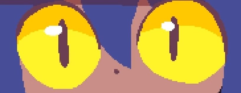 Day 4 of Niko eyes