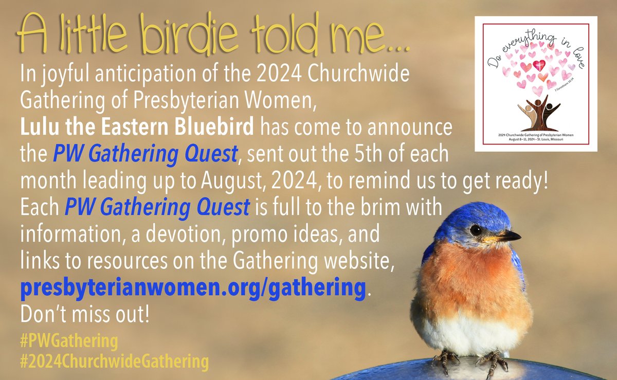 Presbyterian Women tweet media