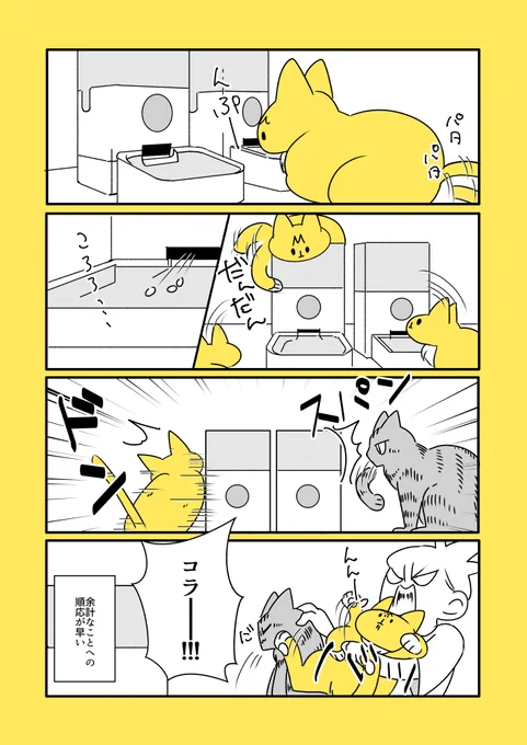 猫たちとの日常まんがを描いてます🐈‍⬛🐈  #ド直球に言いますがフォローしてください