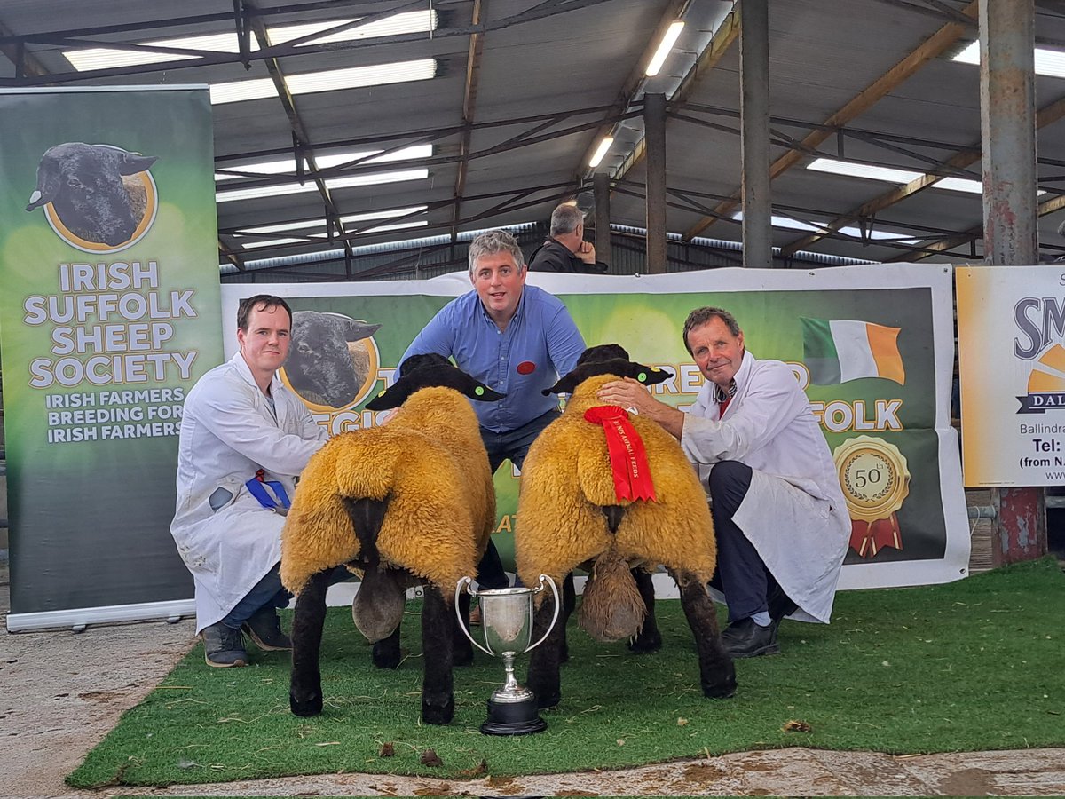 Winner of the best pair of Ram Lambs Matt Pearse