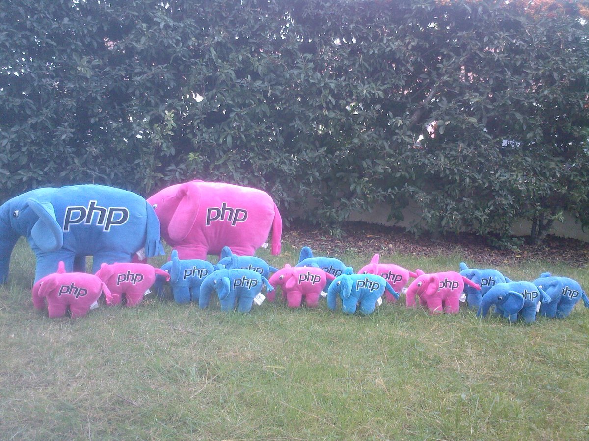 ChristopheVilleneuve (@hellosct1) on Twitter photo Today, August 12. It's world #elephant day. So #elephpant #php thank you for adopting them // <a href="/Elroubio/">Vincent PONTIER</a> <a href="/elePHPantMe/">elePHPant.me</a> <a href="/elePHPant_off/">The elePHPant 🐘</a> <a href="/faguo/">Damien Seguy (@dseguy@phpc.social)</a> Today, August 12. It's world #elephant day. So #elephpant #php thank you for adopting them // <a href="/Elroubio/">Vincent PONTIER</a> <a href="/elePHPantMe/">elePHPant.me</a> <a href="/elePHPant_off/">The elePHPant 🐘</a> <a href="/faguo/">Damien Seguy (@dseguy@phpc.social)</a>