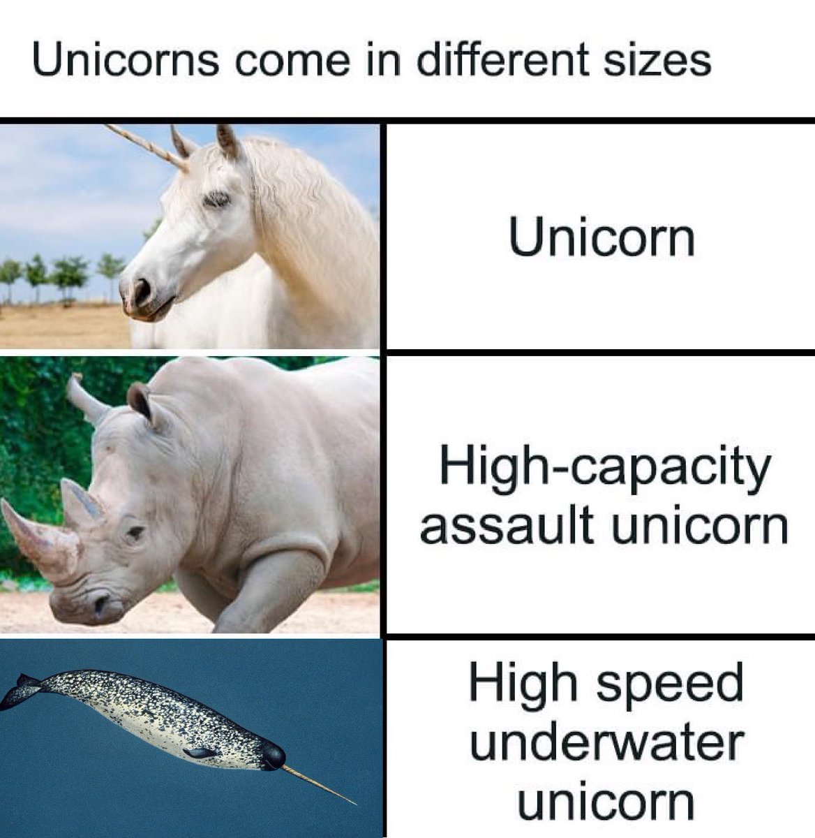 c_r_g's tweet photo. .@theunicornfest < And now this 👇#Unicorns https://t.co/9aueEhi22W