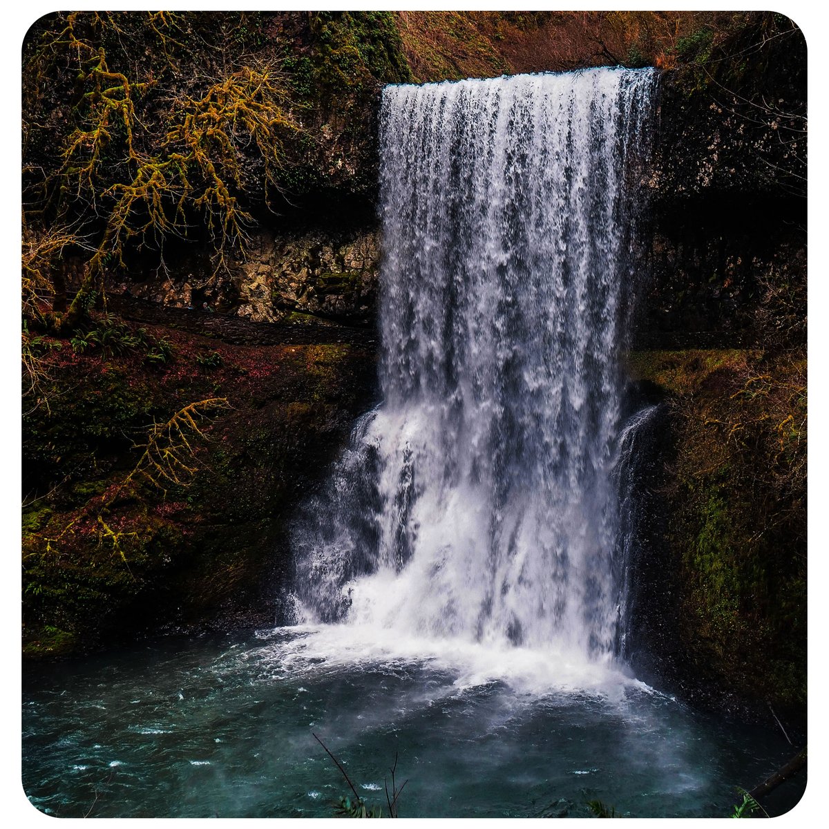 Good morning #WritingCommunity 🖤

Let's start the day with a #writerslift

Drop the links to your #books, #blogs, #poetry, #art, #websites, or anything else you want to share

RT others to spread the love
🖤🖤🖤