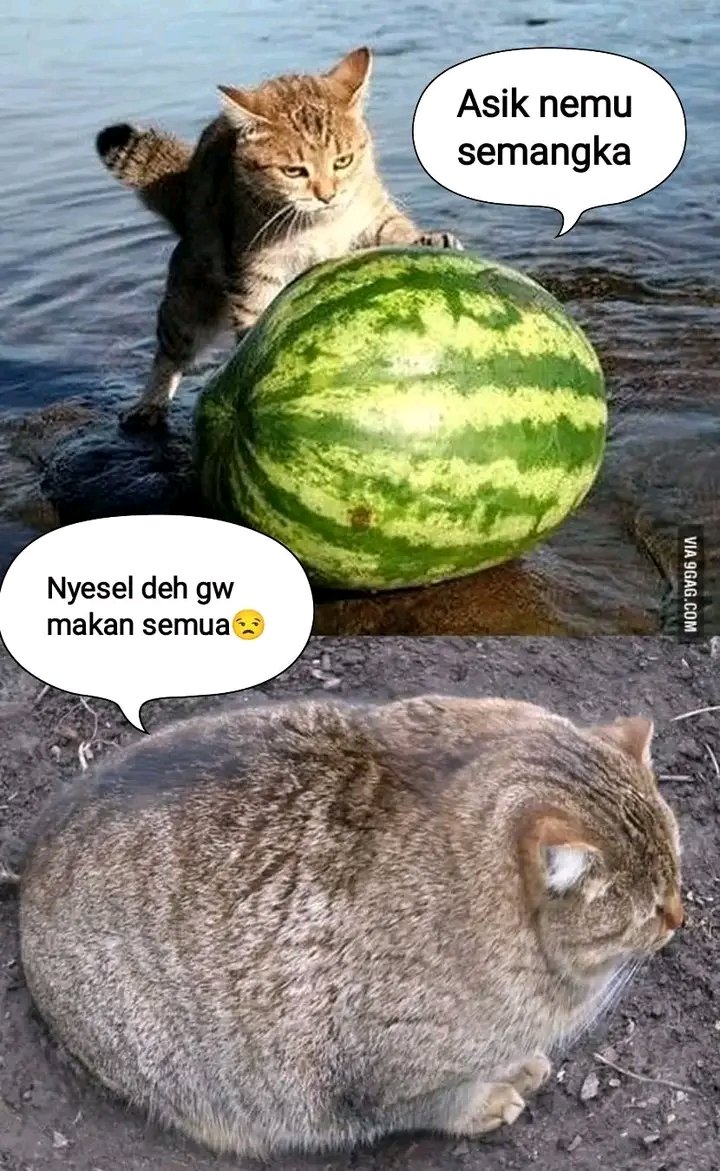 Jobriik's tweet photo. Klo memang namanya itu Mau di panggil apa..

Jika sebutan itu di bilang jorok 
Kenapa tidak untuk sebutan yang lain 

Selamat menunaikan bermalam minggu #cukk https://t.co/1R2JhQ1qOZ