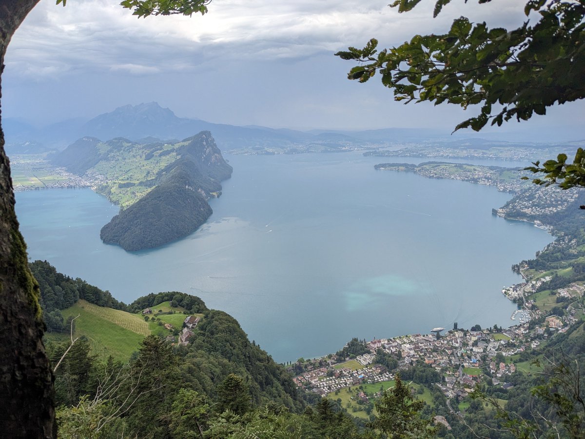 Viktor Burgi tweet media