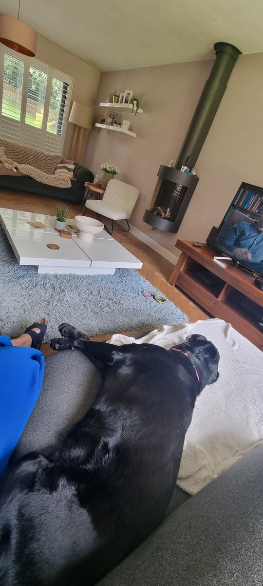 niklarrr's tweet photo. Another day, another opportunity for @Annjj 's piss taking bellends to hijack my sofa with absolutely no shame whatsoever #notallowed https://t.co/lJlHgM0MJl