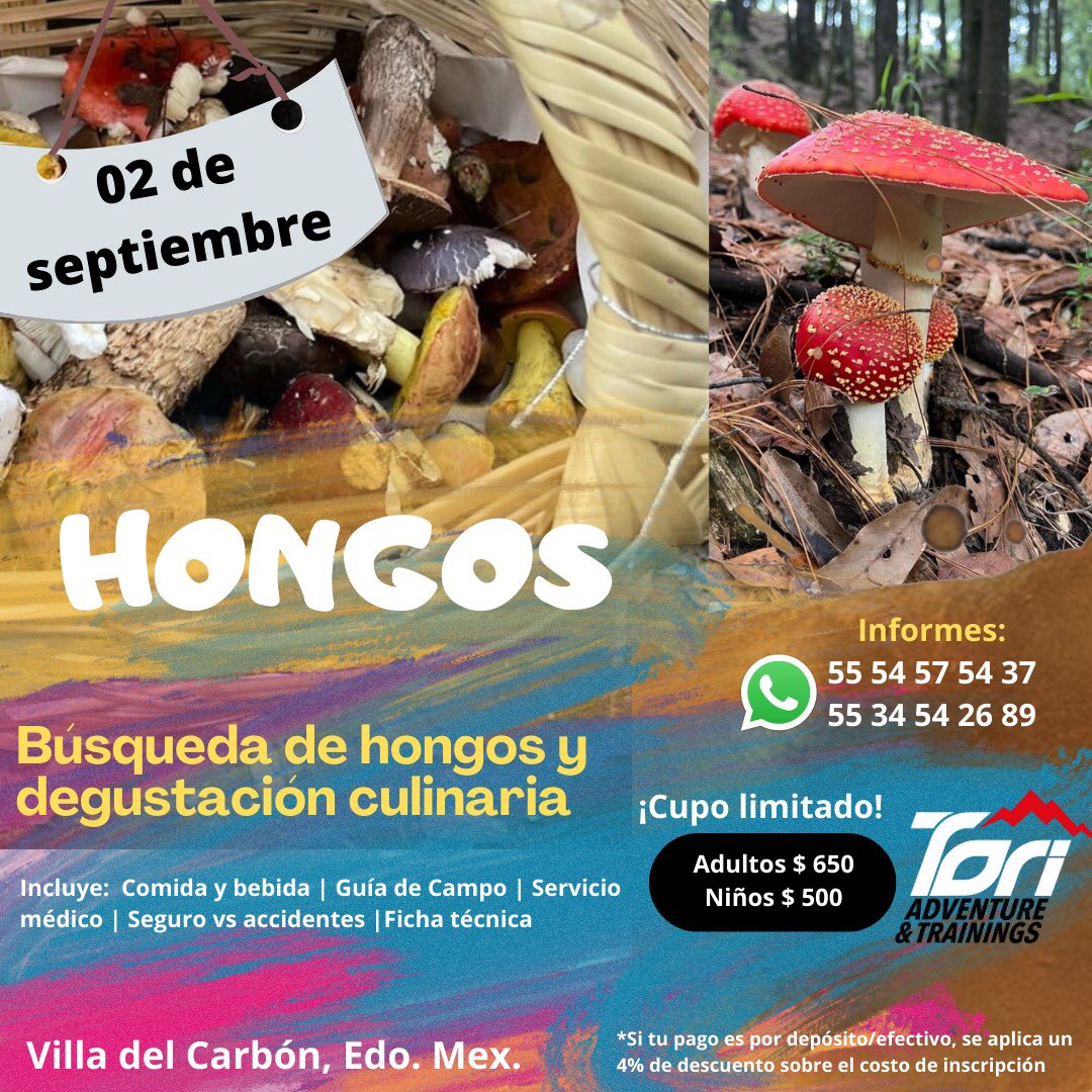 Nueva experiencia didáctica…cupo limitado!