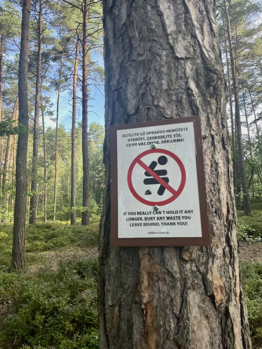 Lucias2106's tweet photo. Sobotní radosti. Těžký. Technický. A horký. Nastoupáno 750m a půlka na Kozákov. #takzasenekdy #kozakov #trailrunning #samavlese #treninknab7 #b7 #ceskyraj https://t.co/cZghozVQBP