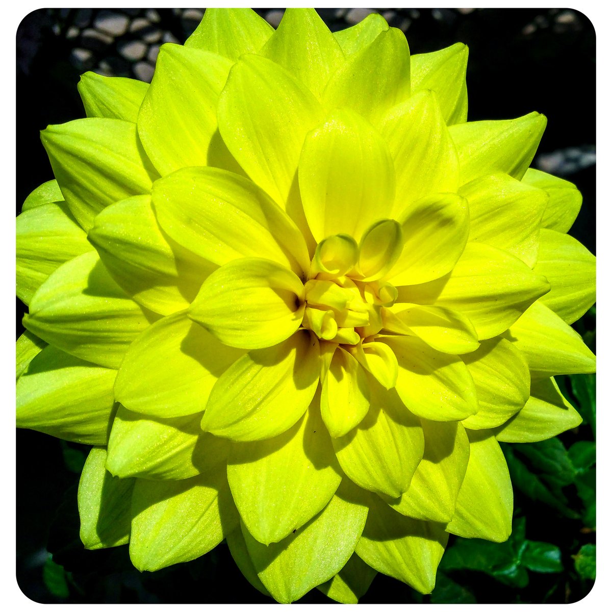 Good morning #WritingCommunity 🖤

Let's start the day with a #writerslift

Drop the links to your #books, #blogs, #poetry, #art, #websites, or anything else you want to share

RT others to spread the love
🖤🖤🖤