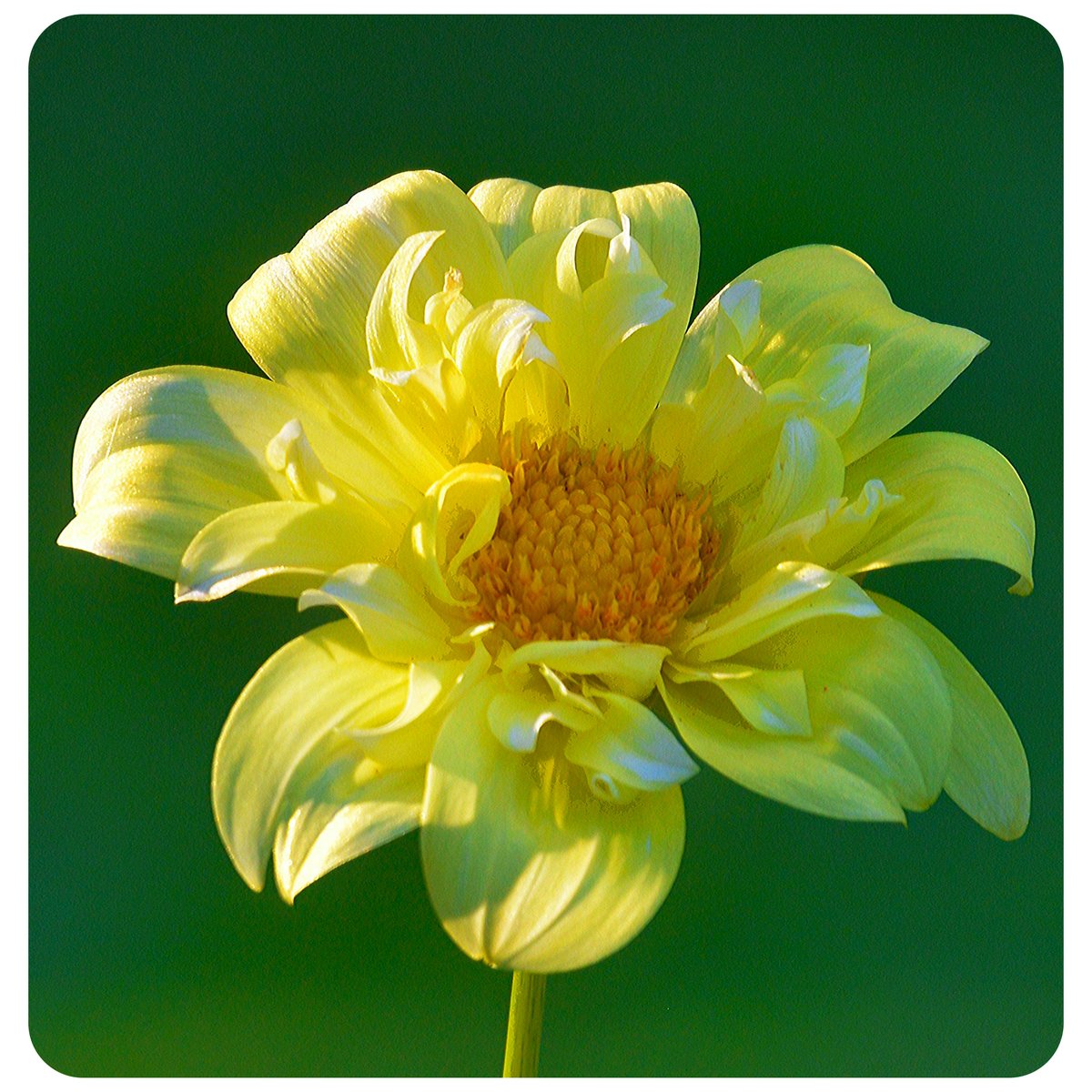 Good morning #WritingCommunity 🖤

Let's start the day with a #writerslift

Drop the links to your #books, #blogs, #poetry, #art, #websites, or anything else you want to share

RT others to spread the love
🖤🖤🖤