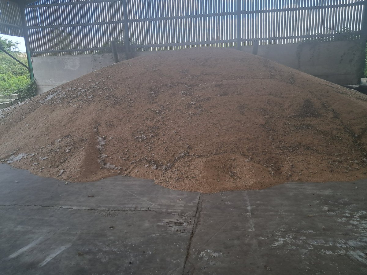 organicwalnes's tweet photo. 4th and final farm of the day. Sample of 150 tonnes of organic kws extase wheat. https://t.co/eBnpcbheQ4