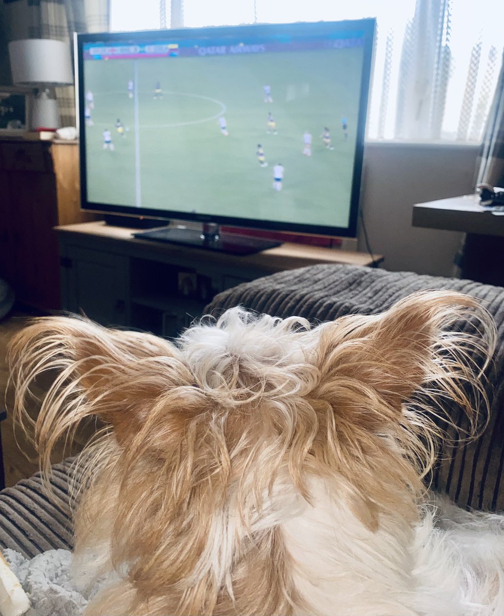 deepat5's tweet image. Peggo is fully invested 🏴󠁧󠁢󠁥󠁮󠁧󠁿
#ENGCOL