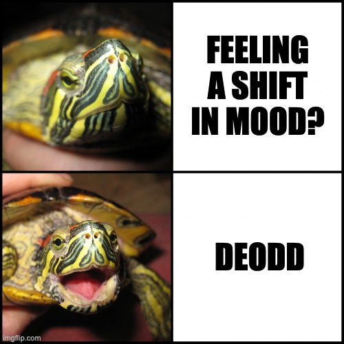 🪙 Feeling a shift in mood? Dive into the #DeODD Sensation! 🎲

Greetings, fellow adventurers of chance! How many coin flips have graced your day? One, a couple, or a cascade of excitement? Share your exciting moments with our community!

🎊 deodd.io

#NFT