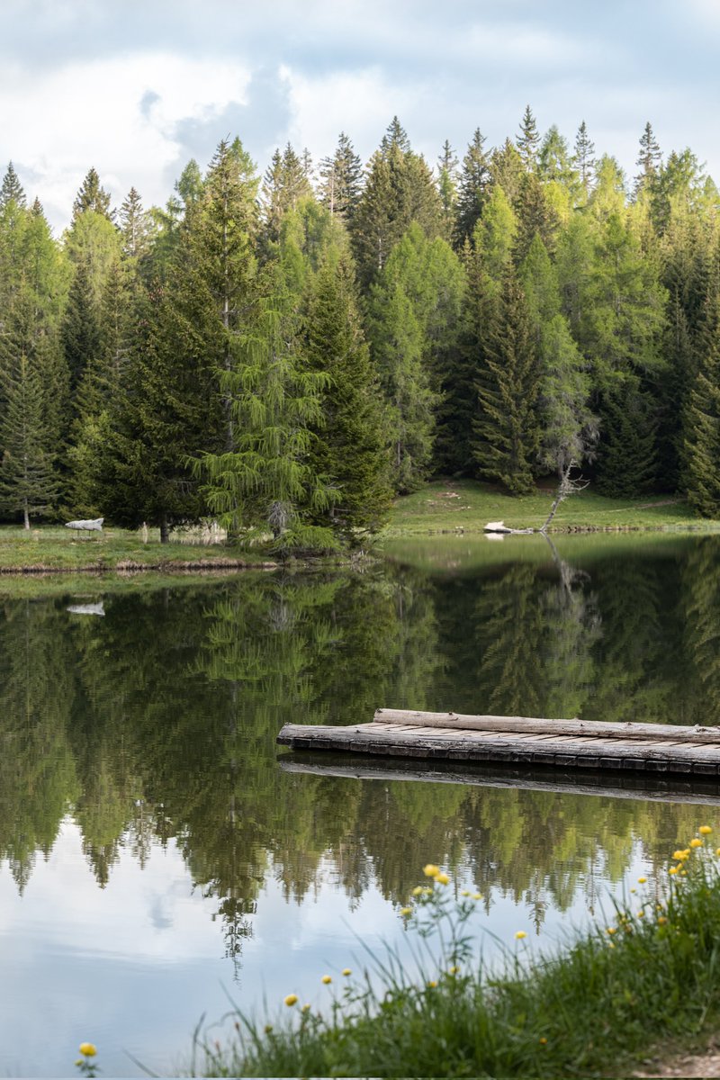 GM ☀️

#NFTCommunity #NFTs #nftphotography #NFTart