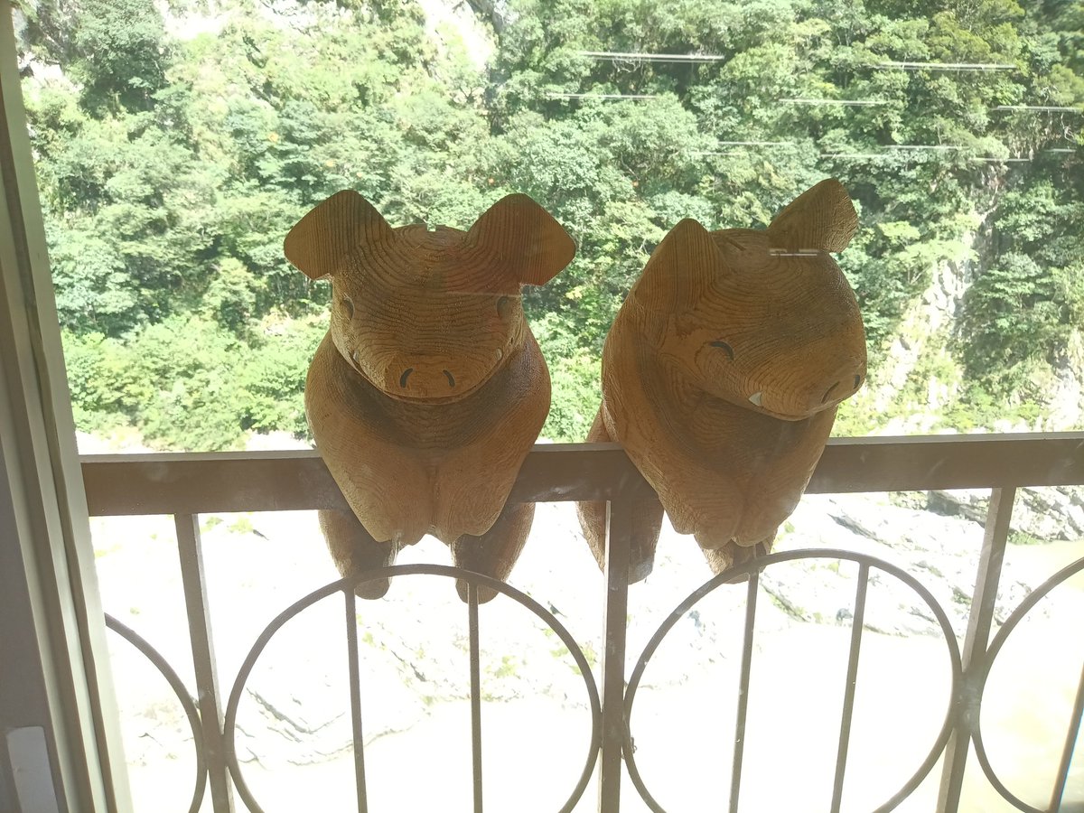 freope_'s tweet photo. 四国観光、おおぼけこぼけ https://t.co/pW31tF5BvP