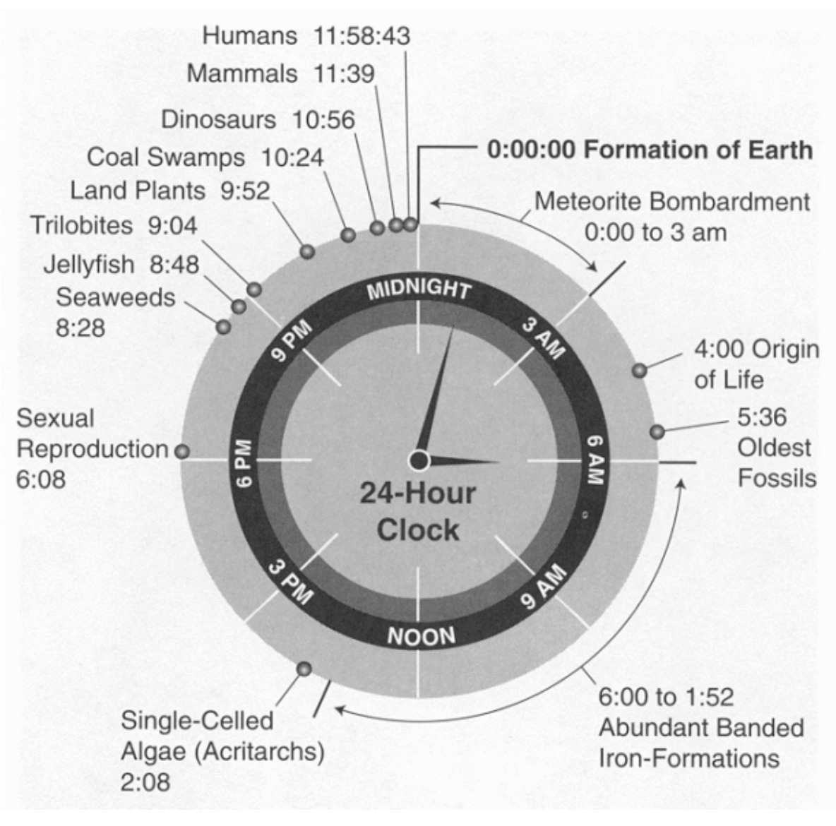 Just a friendly reminder that we humans are a very recent addition to this planet.