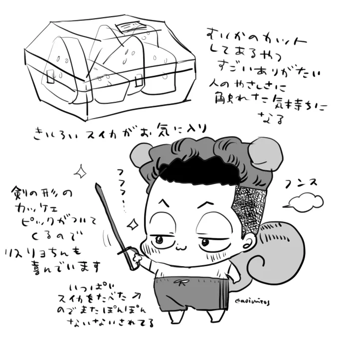 カットすいか日記