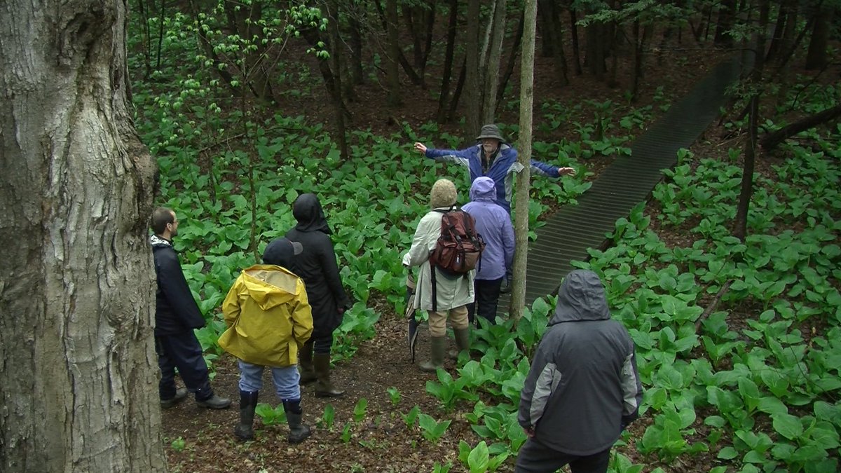 owlgorge's tweet photo. “Von Engeln Preserve by Fall Creek,” online anytime; and on Ithaca cable channel 13 at 9 a.m. Saturday August 12 (final showing). Online anytime at https://t.co/BSOn4ymfhu. https://t.co/YlSNf6MFh8