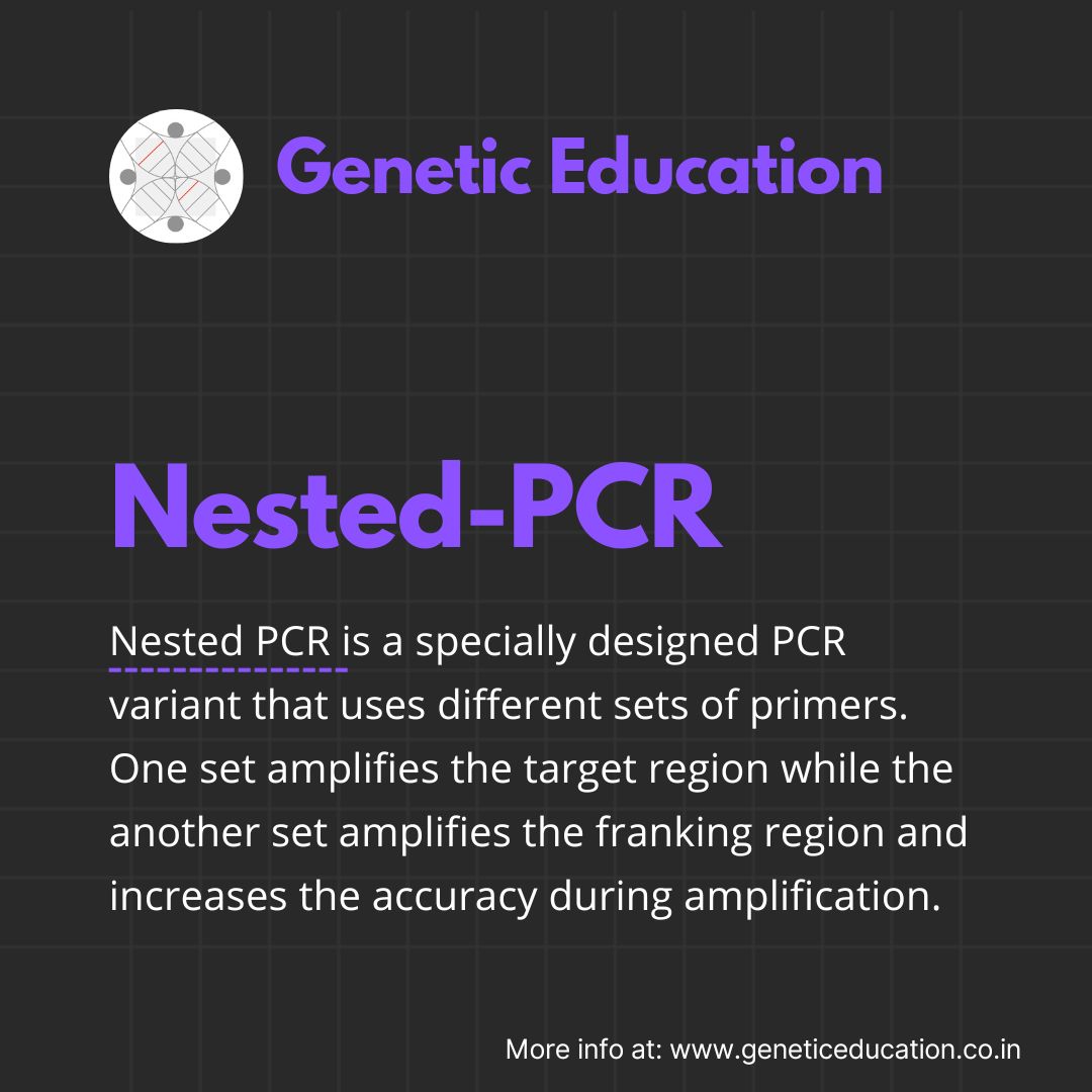 GeneticEdu's tweet image. Nested PCR is an amazing variation of native PCR that enables scientists with greater precision. #PCR #PCRtest #PCRanalysis #genetics

Check out PCR freebies: tusharchauhan4724.graphy.com/products/64b78…