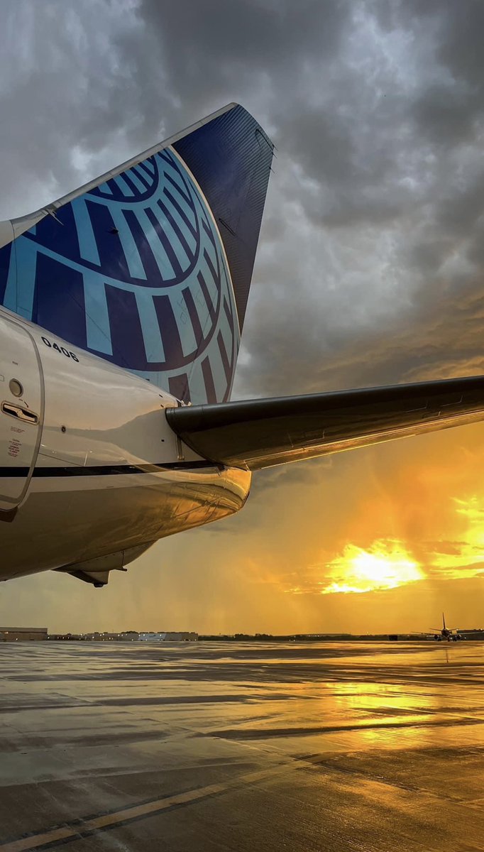 Khaled Alchami tweet media