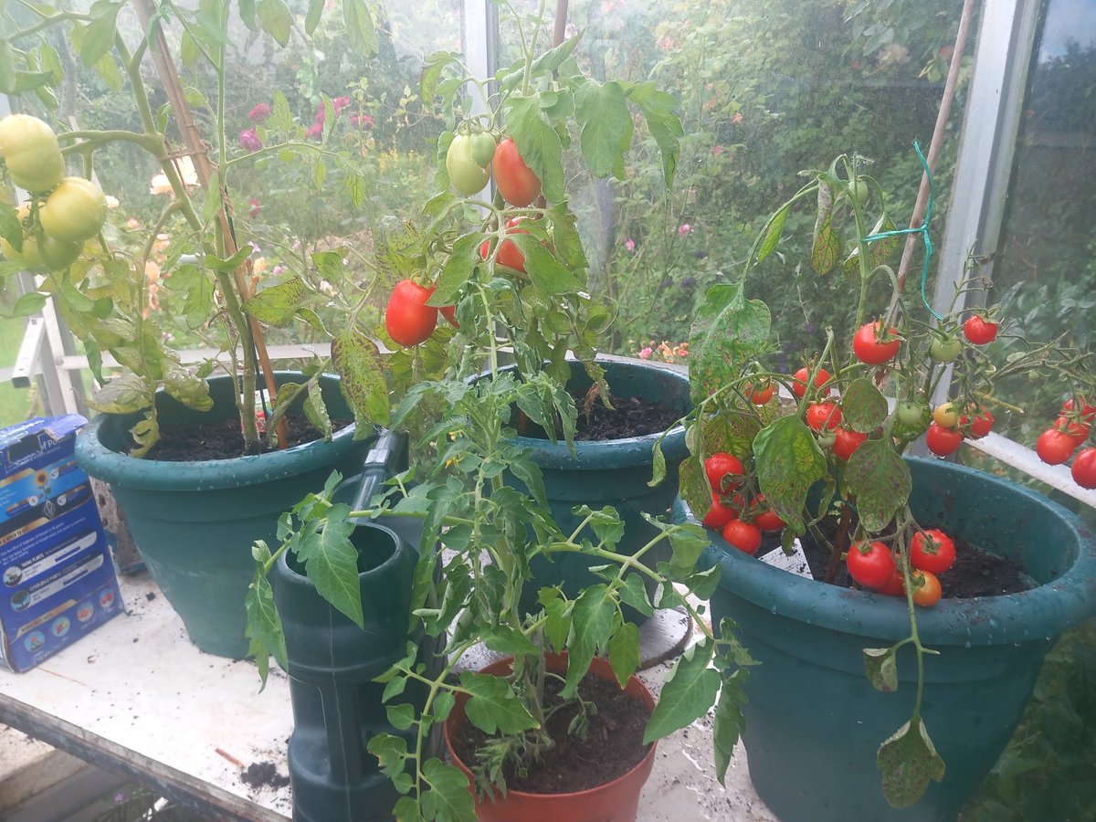 David Oliver tweet media