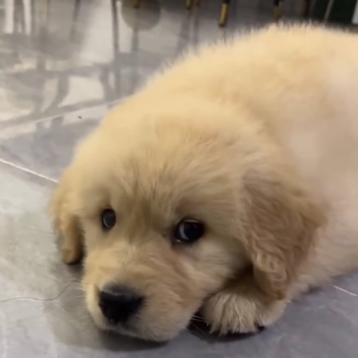 จะไปกินเหล้าเหรอ ก้ไปสิ แล้วแต่ ตามสบาย