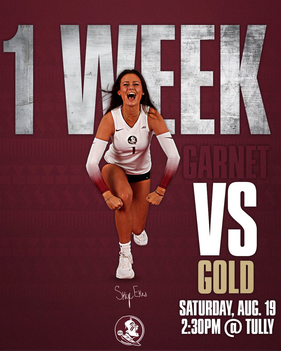 FSU Volleyball tweet media