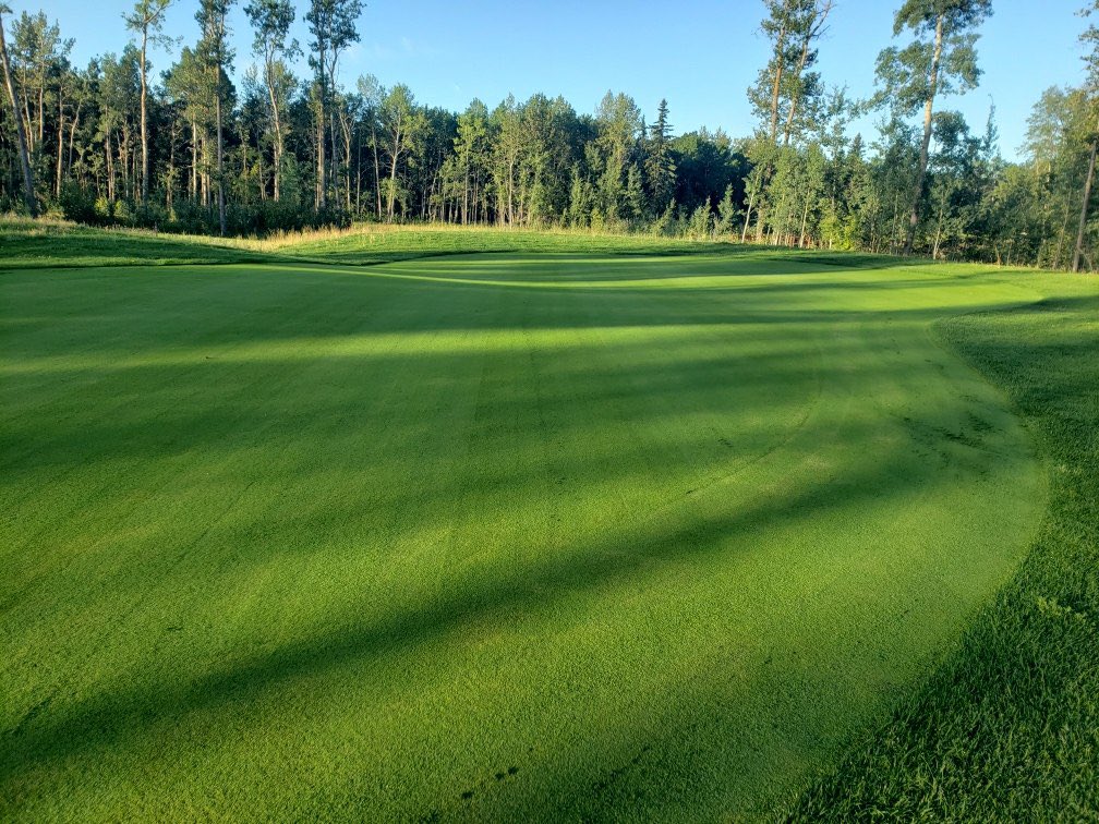 T2GTurfGuy's tweet photo. Lakewood GC at Sylvan Lake AB Canada 🇨🇦 
5 week old Pure Select greens looking amazing.  
Superintendent Grant McKinlay has them dialed in… 
Game Changing Bentgrass From Tee-2-Green 
#pureselect #tee2green
@byturf  @beckscory @T2GBentgrass https://t.co/FMkFAnKyvB