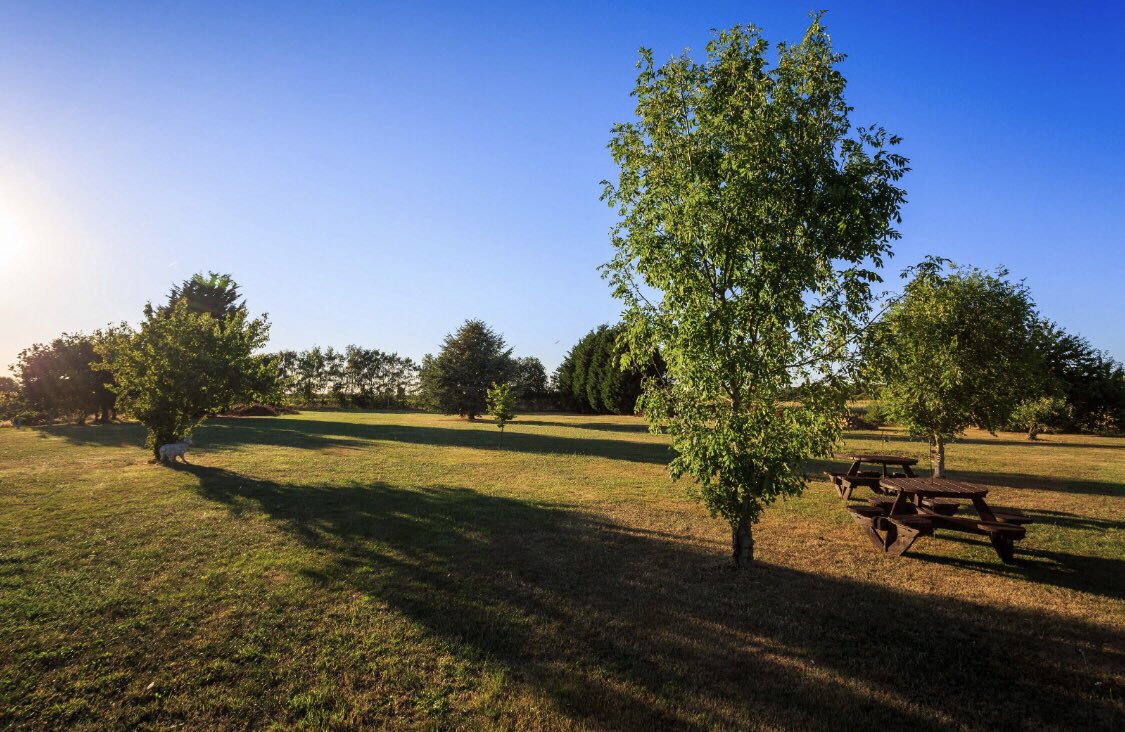Lincoln_Retreat's tweet photo. Event field looking great 🌳My Sons are doing super job 😎☀️ #eventfield #celebration
#businessgrowth #visitlincolnshire #celebrationtime https://t.co/bxauWf6nhg