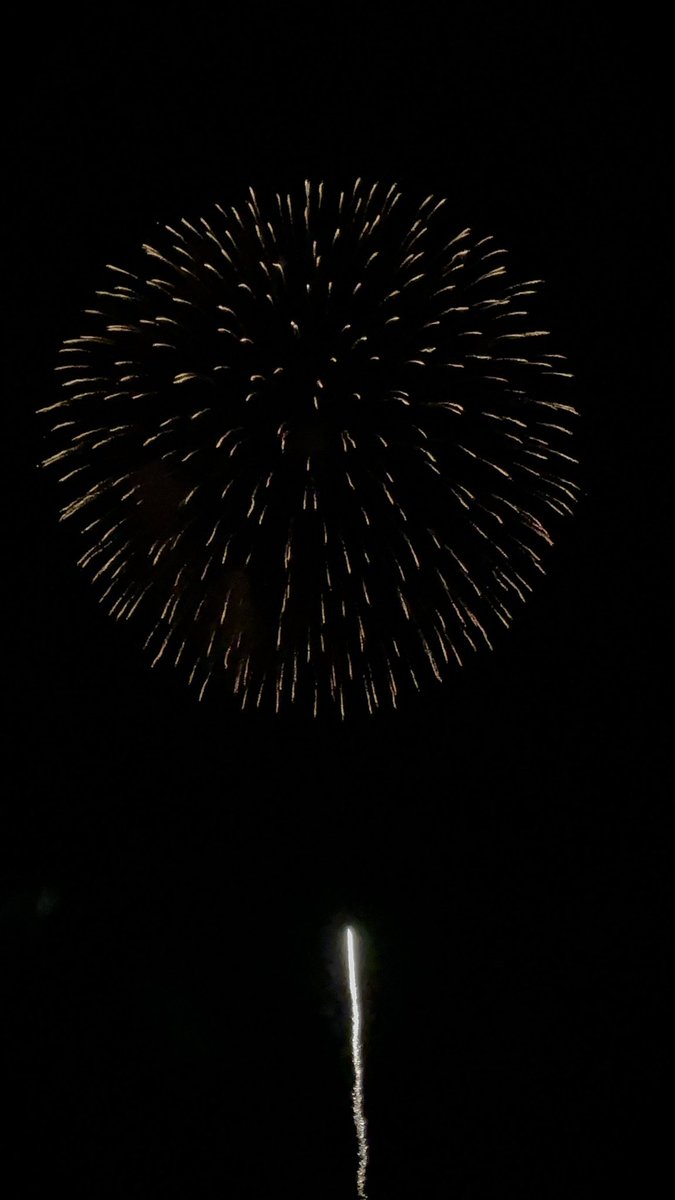 a_ping6782's tweet photo. 蘭越🎇 https://t.co/RErdpJmCx1