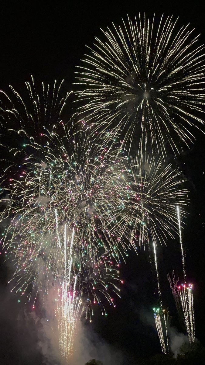 a_ping6782's tweet photo. 蘭越🎇 https://t.co/RErdpJmCx1