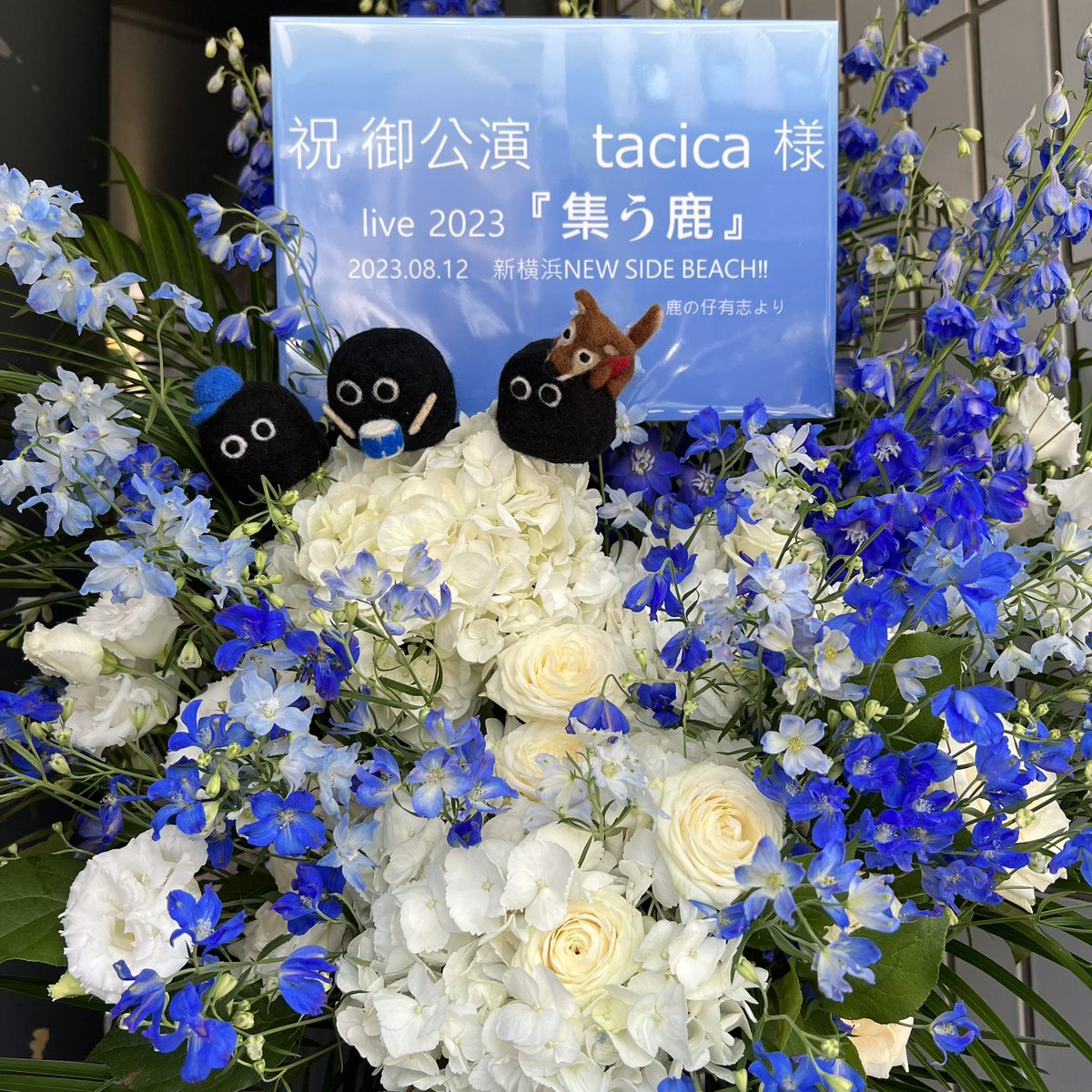 rw77723's tweet photo. こんなに運使っちゃっていいの、、、ってくらい本当にありがとうございました、、、
ライブはもう、さすがファンクラブ限定ライブやんなってセトリで最高すぎた。
LUCKYリクエストしてくださった方ありがとうございます！！✌️
#tacica #集う鹿 https://t.co/OYMRhz2iok