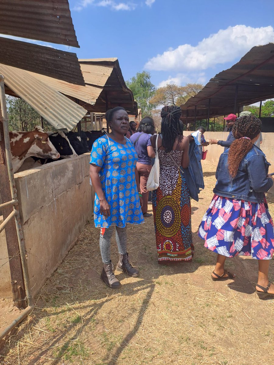 3. Katete farm: Antimicrobial Resistance in animals 
#OH4Dsummerschool23