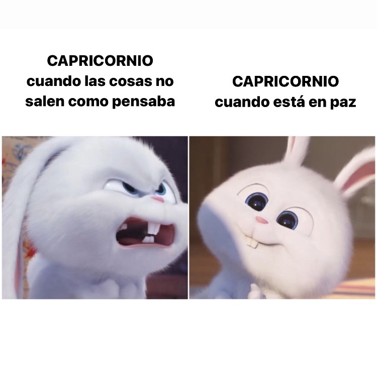 capricornio_hn's tweet photo. Real 🤣 #capricornio #horoscoponegro https://t.co/1IwtaFn1Z2