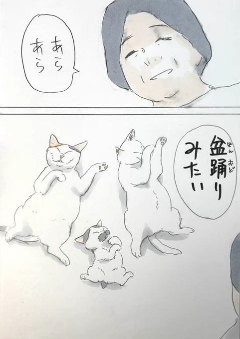 まいにちノリ吉