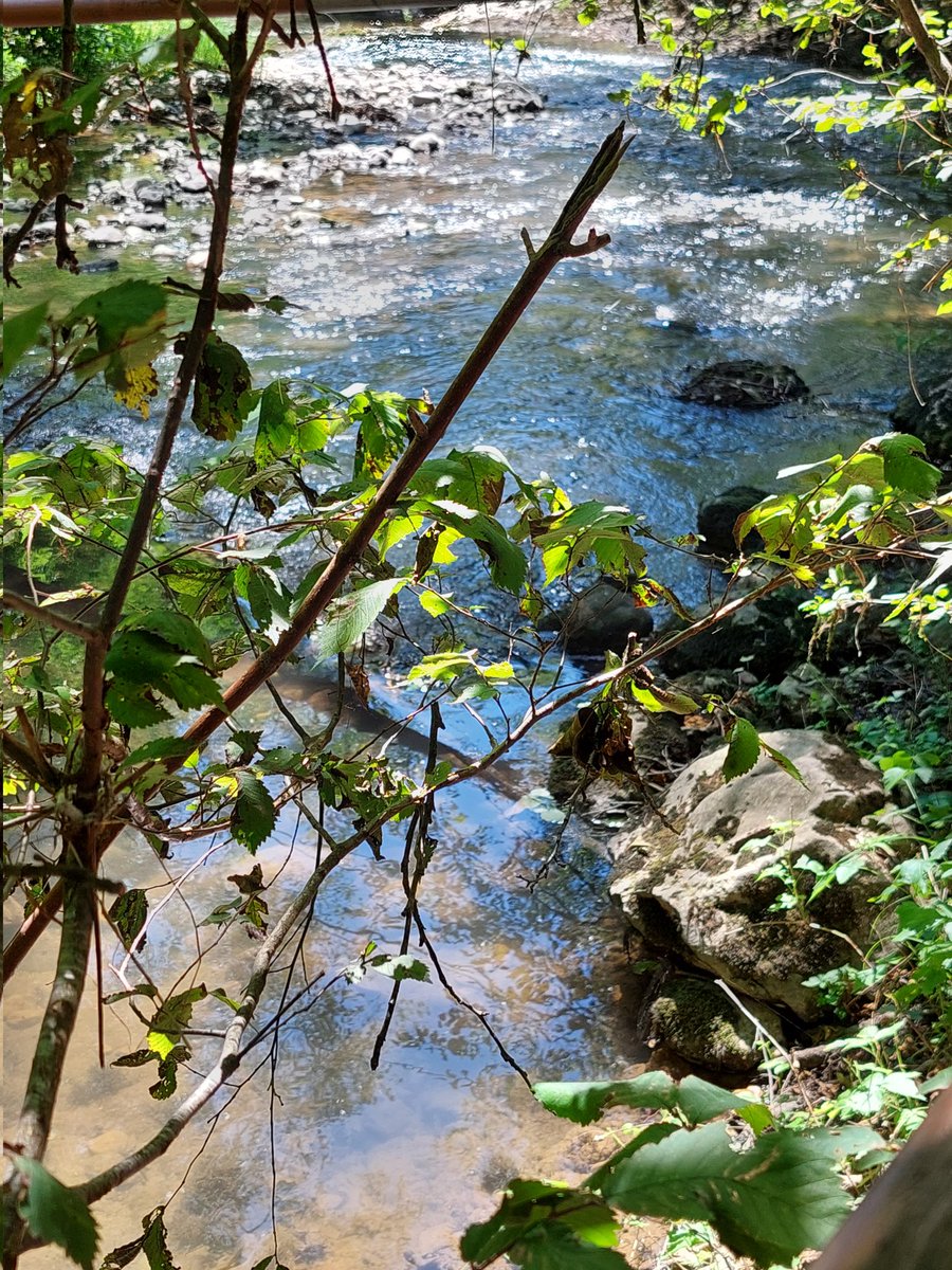 stevan1967's tweet photo. Lipsao sam ti moja Slavice ,kad ti LALA kaže....mnogo bre visoka ova planina #Ozren ......🙃😉🤩 https://t.co/R8j1LH4Hkh