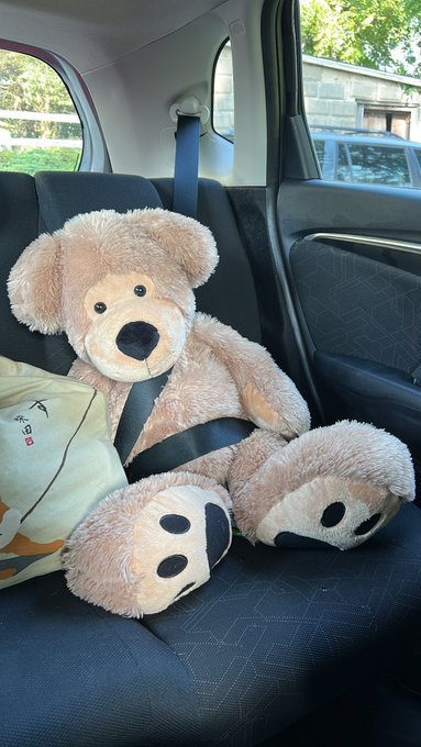 my partner for today&rsquo;s photoshoot 🖤🧸🖤 https://t.co/AMNQngDtvM<a href="/tag/ama"class="tags"><span>#ama</span></a>