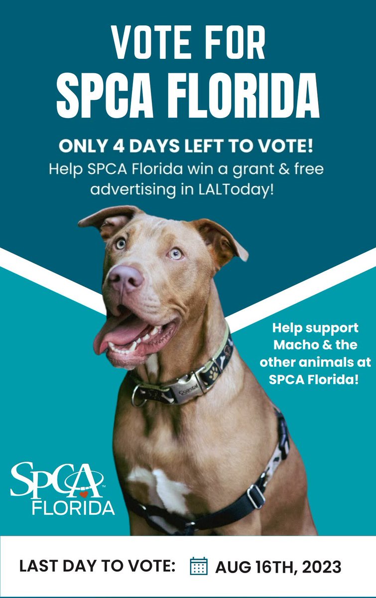 Vote for SPCA Florida! 😻 It's only 4-5 questions and takes less than 2 minutes to complete. <a href="/LALtoday/">LALtoday</a> is partnering with <a href="/Publix/">Publix</a> for a non-profit giveaway to help spread their mission! Our mission is to save lives &amp; lead Polk County to a No-Kill status!
bit.ly/LalTodayVote