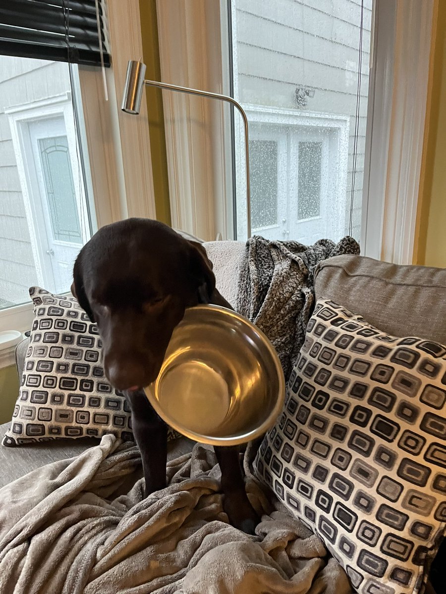 Jimmy & Earl tweet media