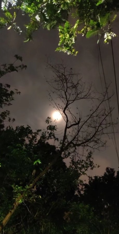 WHY DO I LOVE MOON? 
because the moon made me realise that being alone is not bad.
