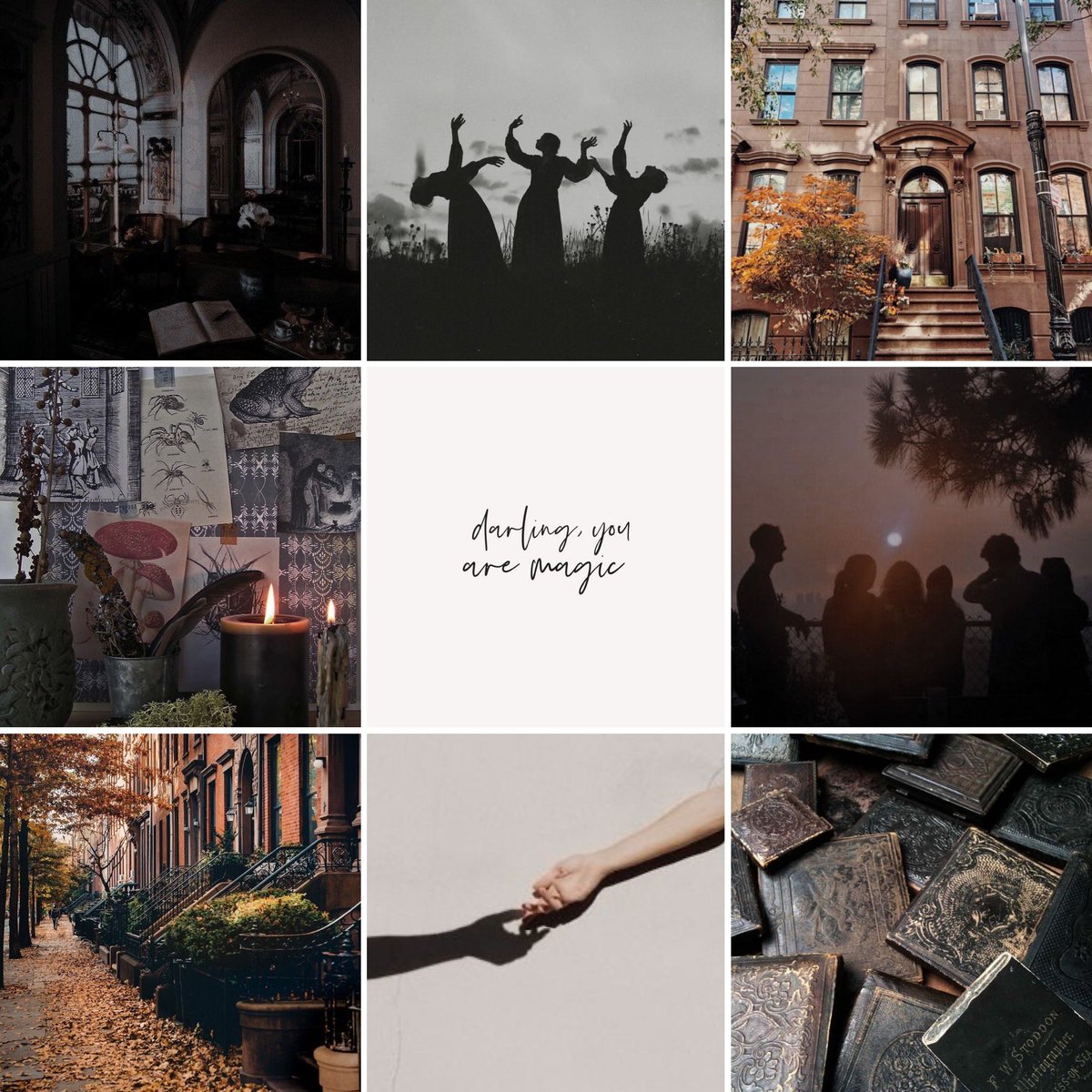 Kacey 🐢 tweet media